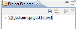 Project Explorer